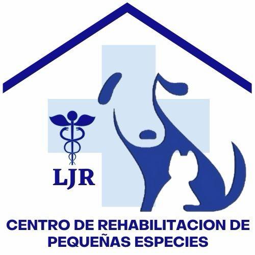 Cliente 5